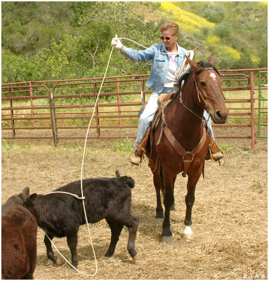 Ranch Boss Linda