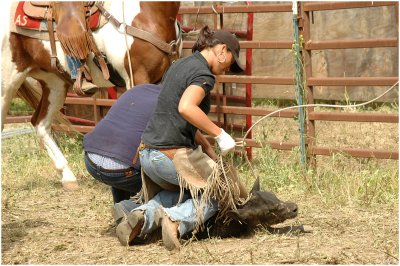 But Then, A Cow Girl's Life