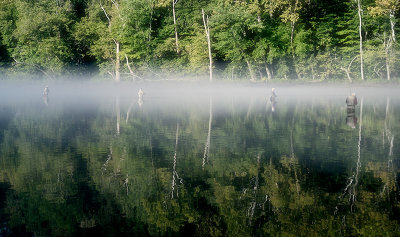 Norris Dam State Park, Knoxville, TN