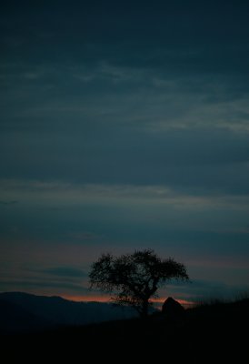 g3/43/415443/3/121637870.v5yZ8Sc8.jpg