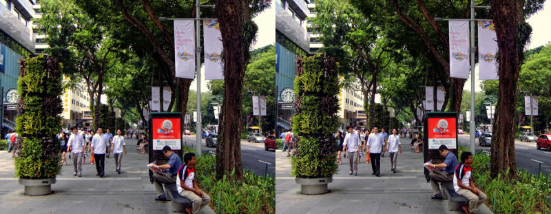 Orchard Road (Cross-View Stereo)