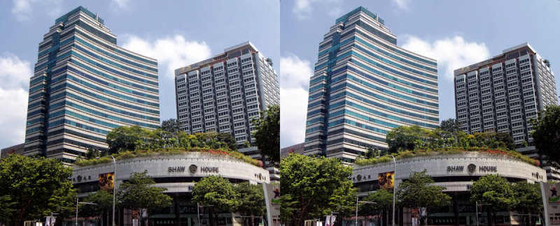 Shaw Centre (Cross-View Stereo)