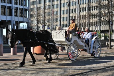 Main Street Horse Carriage