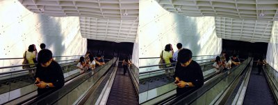 ION Orchard (Cross-View Stereo)