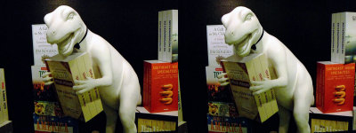 Bookstore Dinosaur in ION Orchard (Cross-View Stereo)
