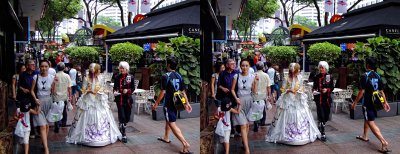 Orchard Road (Cross-View Stereo)