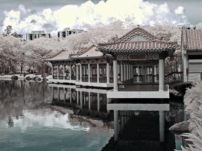 Chinese Gardens 11