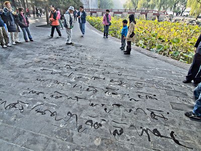 g3/43/42943/3/88131559.Oxyafk2P.jpg