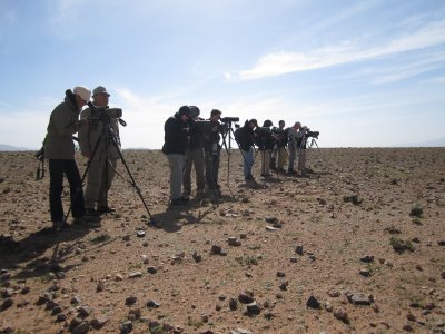 The group in action - Birding in the steppes