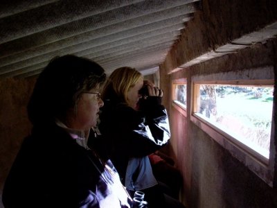 Hide - Raptor Feeding Station -Raptor Observatory - Observatorio de rapaces en los Ports