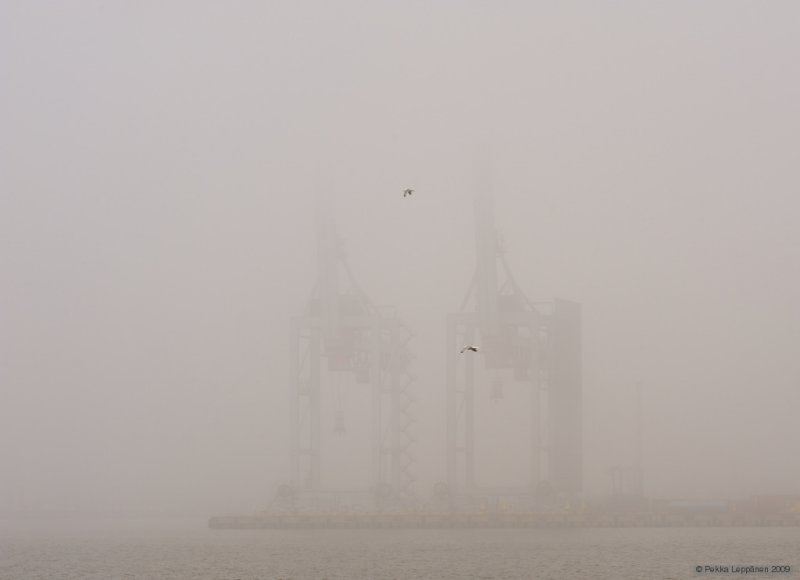 Two birds and two cranes in fog