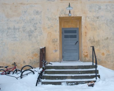 Door with bikes II