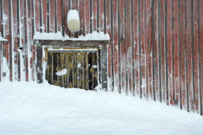 A door blocked by snow