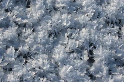 Ice