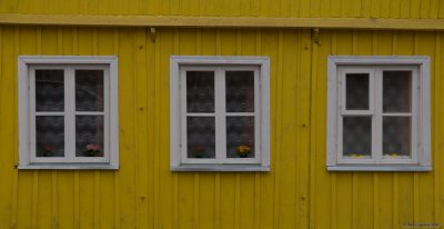 Doughters' house's windows