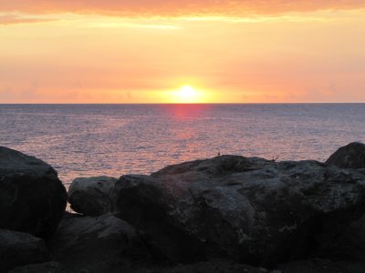 IMG_1395.JPG