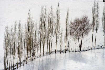 ladakh winter