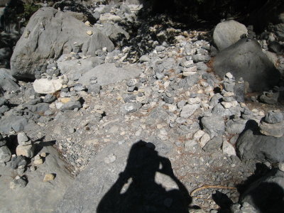 IMG_2255.JPG