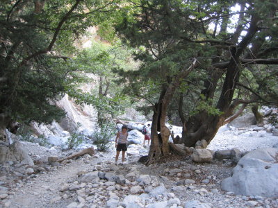 IMG_2265.JPG