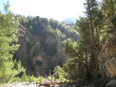 IMG_2270.JPG
