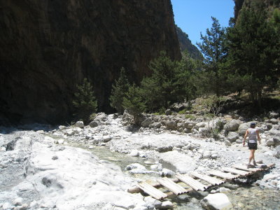 IMG_2317.JPG