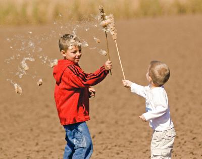 cattail fight!!!