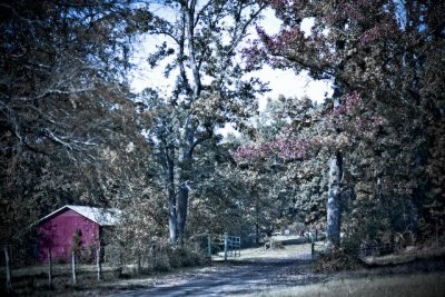 fall at the home place