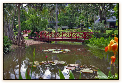 Club Andaman's garden