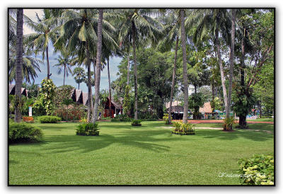 Club Andamans garden