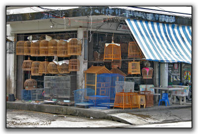Phuket Town bird cage shop