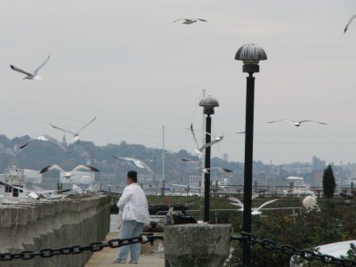 IMG_0109.JPG
