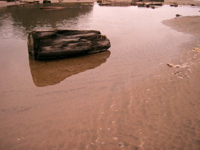 g3/43/519843/3/122627909.qp2qABVJ.jpg
