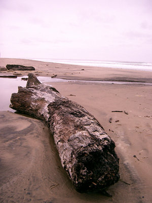 g3/43/519843/3/123572349.LCN1mS4Q.jpg