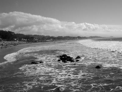 fog bank shoreline