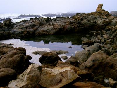 rocky tide pools