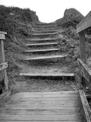 coast trail steps3