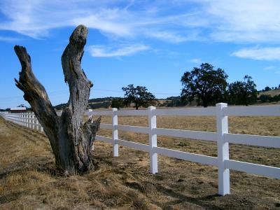 estrella ranch