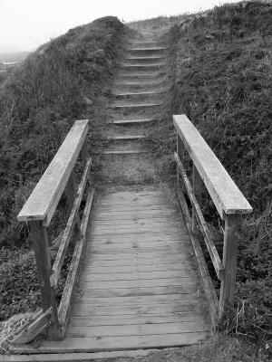 coast trail steps