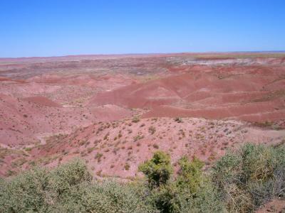 painted desert