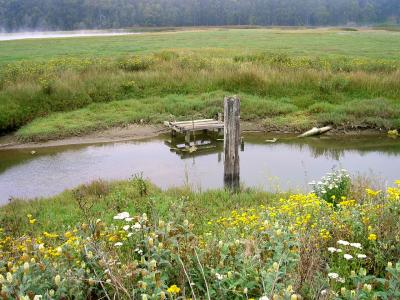 old dock