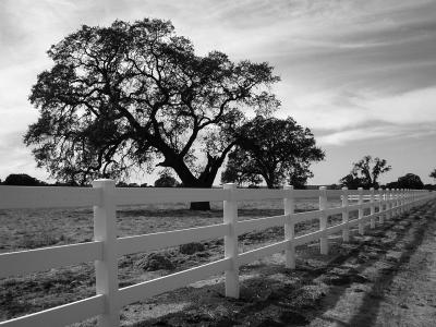 estrella ranch