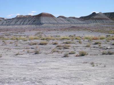 painted desert