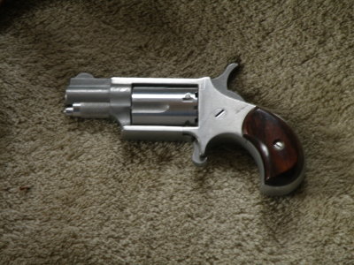 firearms
