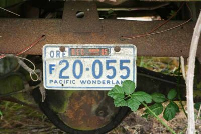 Old License Plate