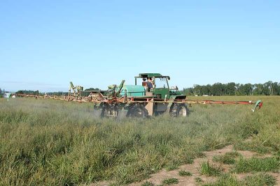 Spraying Fungicide on the grass