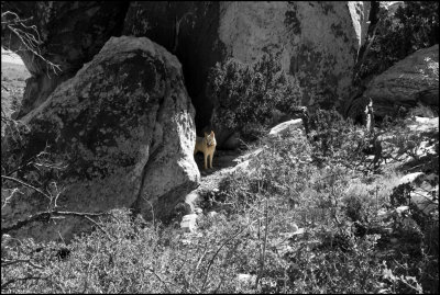I found a cave