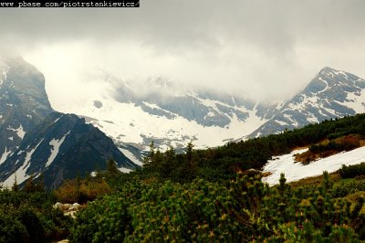 g3/43/588543/3/117505968.hmc8HT37.jpg