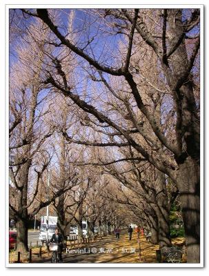 銀杏‧紅葉‧東京都