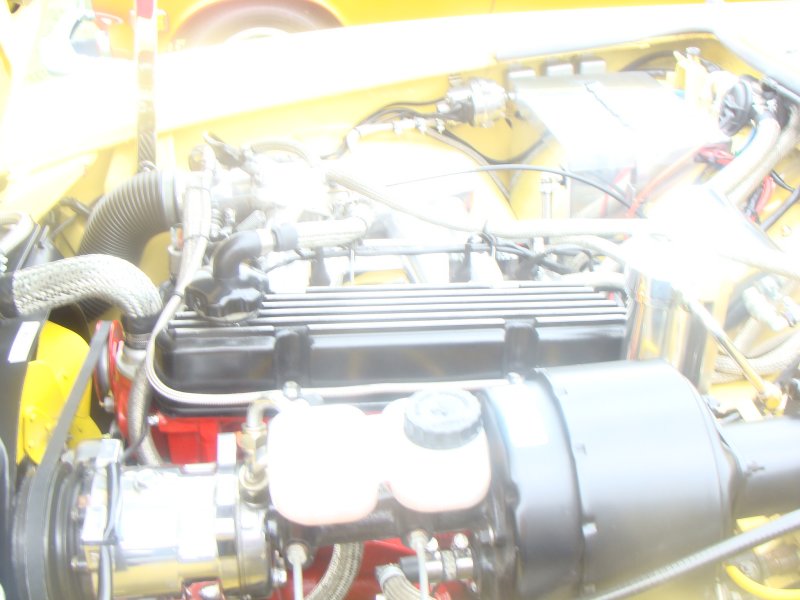 DSC02950.JPG