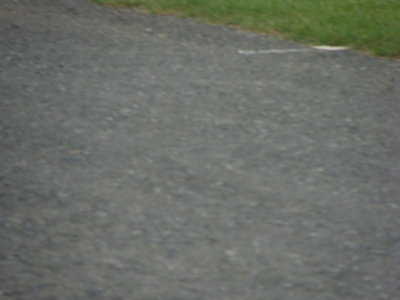 g3/43/638743/3/124927130.VFAn4YpQ.jpg